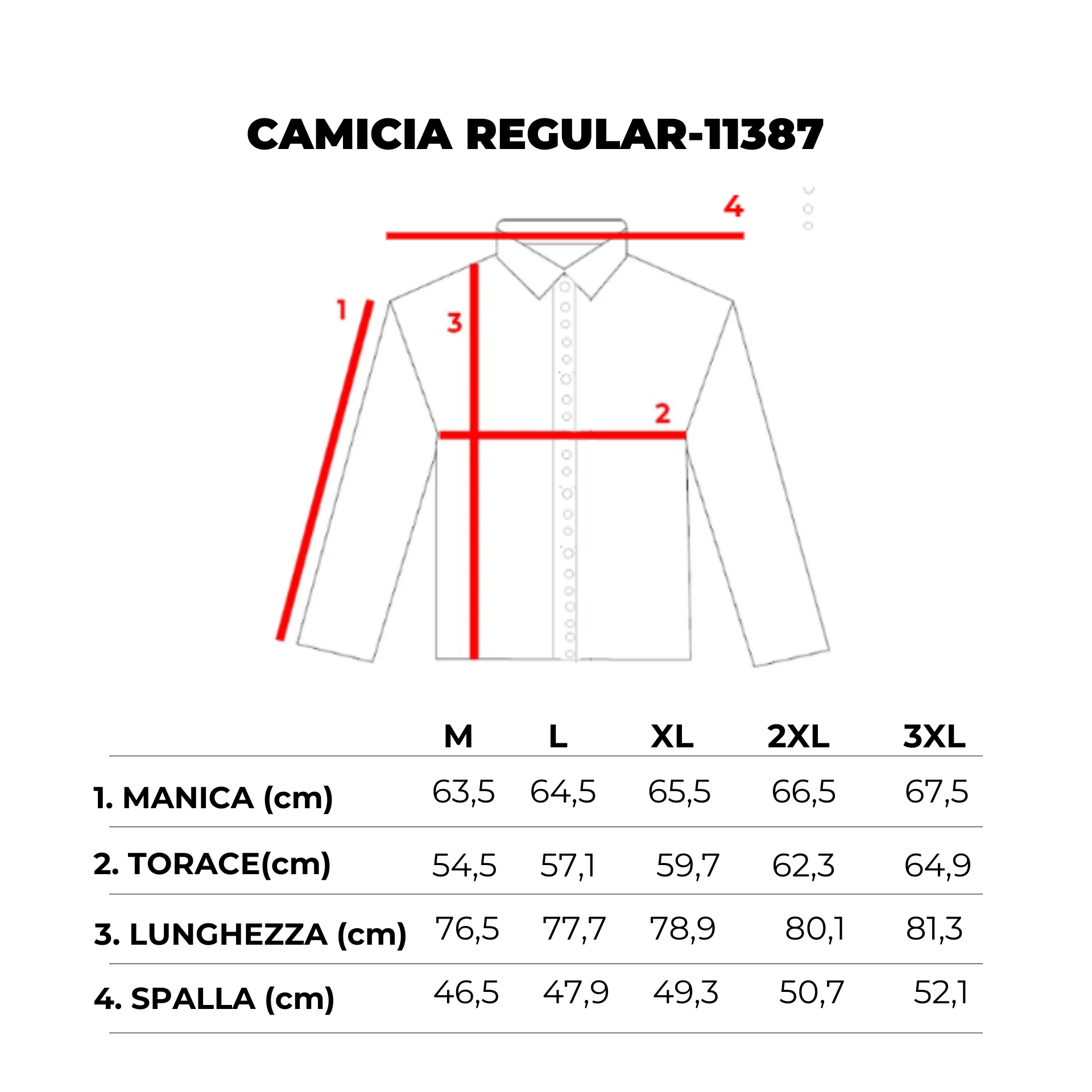CAMICIA COTONE REGULAR -11387