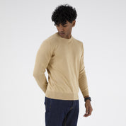 MAGLIA COTONE MANICHE LUNGHE 10698
