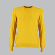 MAGLIA COTONE MANICHE LUNGHE 10698