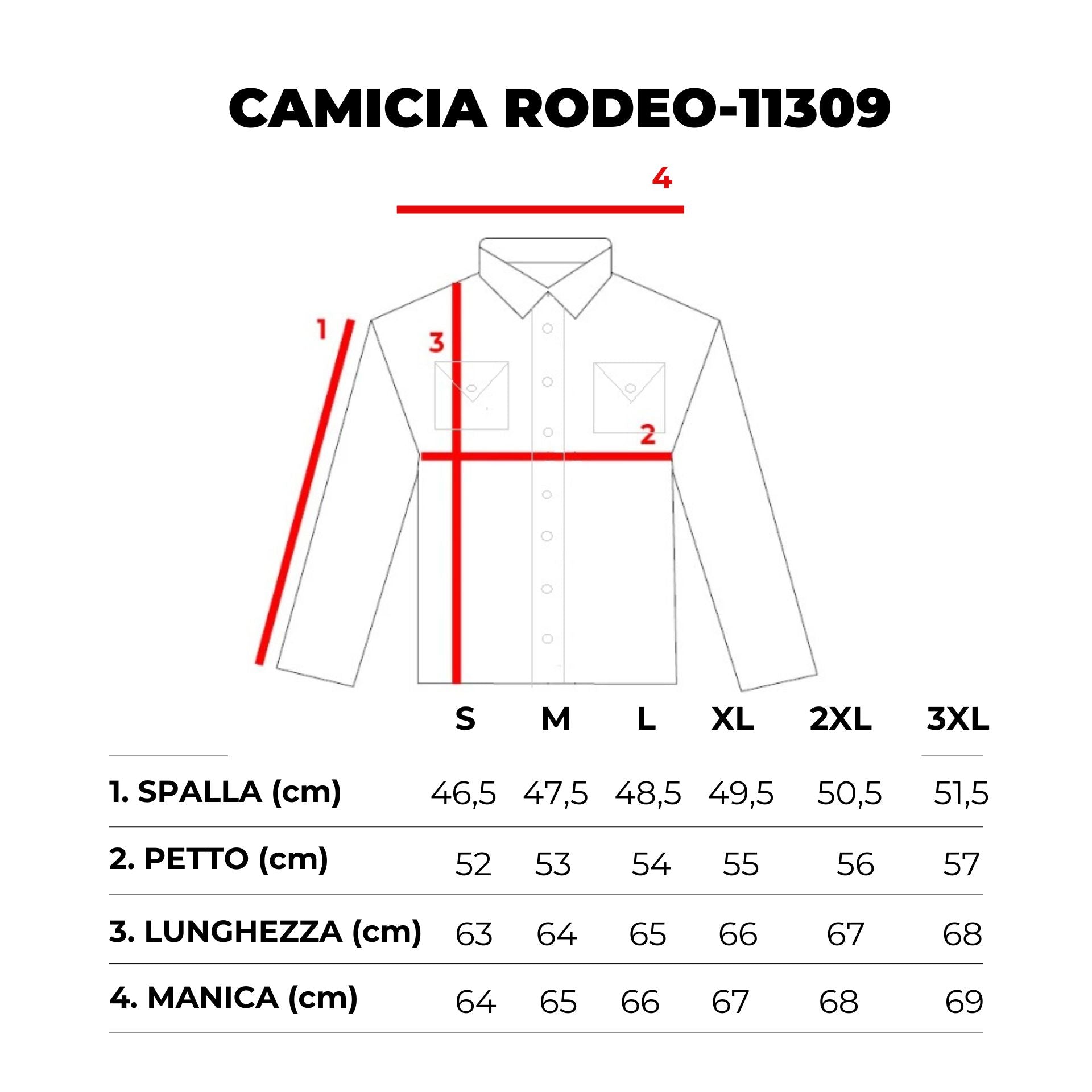 7146--CAMICIA-RODEO-COLOR-11309--CAMICIA-RODEO-COLOR-11309.png