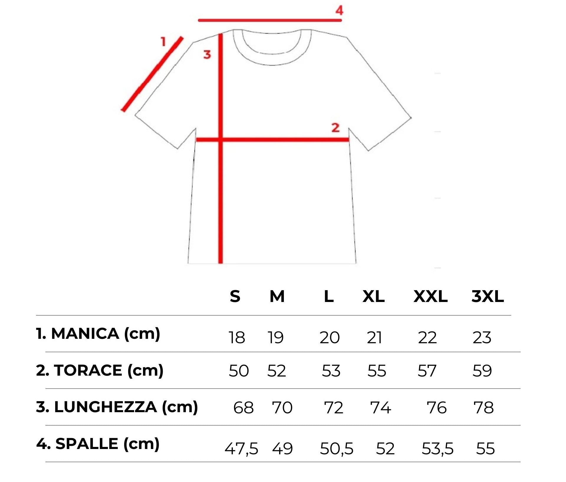 8469-T-SHIRT-BASIC-100-COTONE-PREMIUM-11361-T-SHIRT-BASIC-100-COTONE-PREMIUM-11361.jpg
